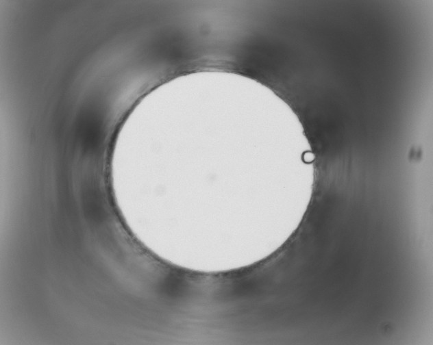 X0000113090293200909182121