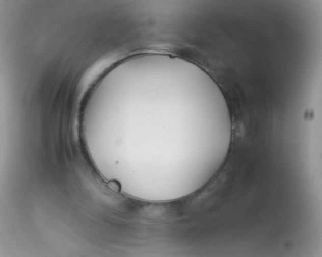 X0000113090294200909182121