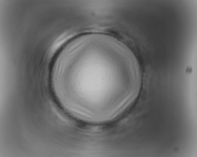 X0000113090295200909182121