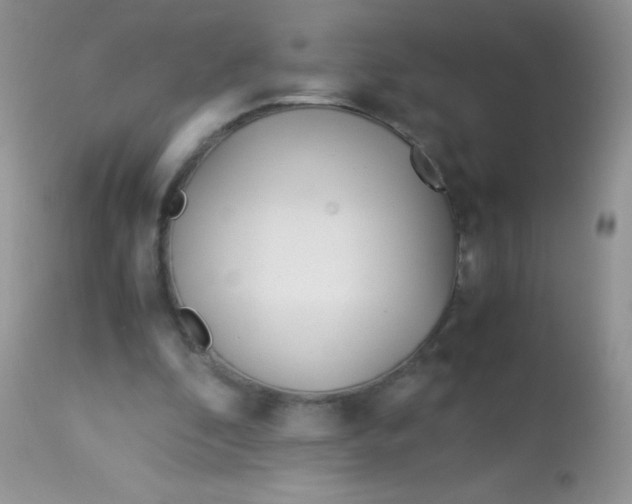 X0000113090296200909182121