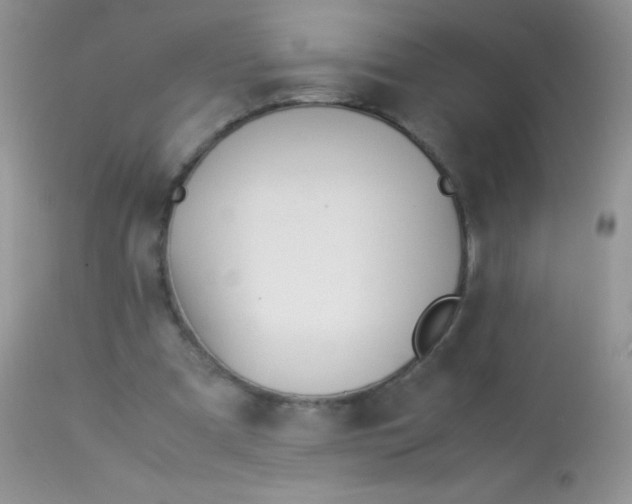 X0000113090297200909182121