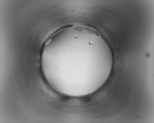 X0000113090299200909182121