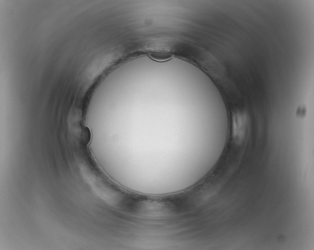 X0000113090300200909182121