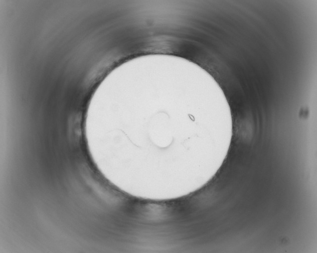 X0000113090302200909182121