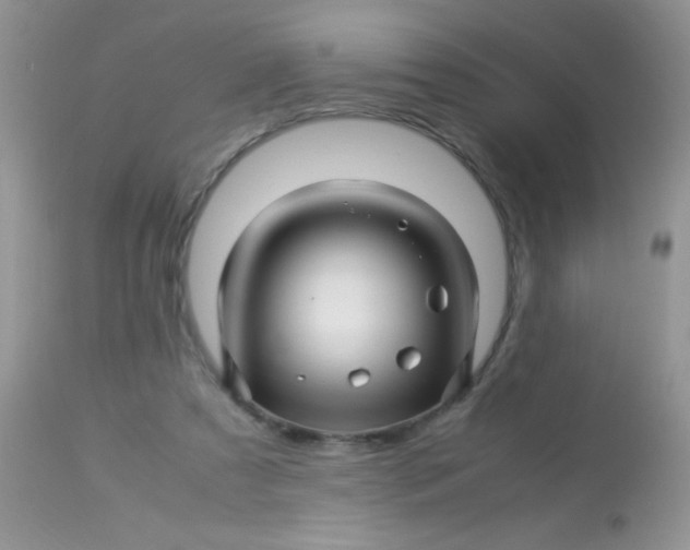 X0000113090305200909182121