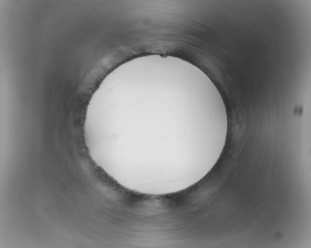 X0000113090307200909182121