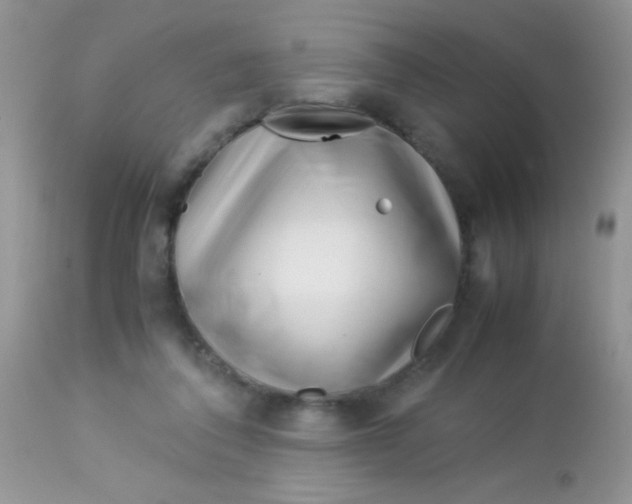 X0000113090308200909182121