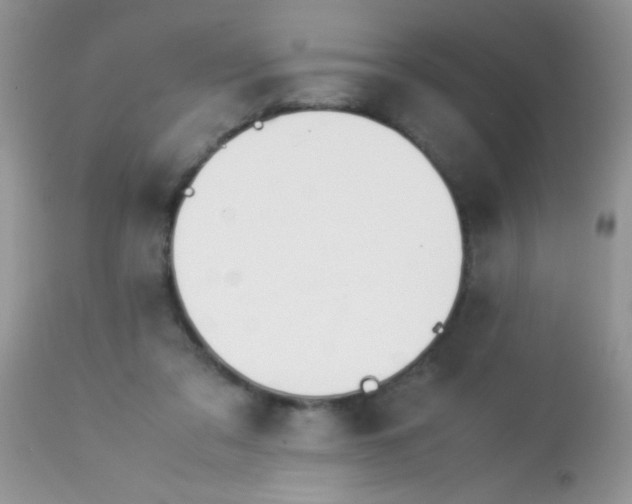 X0000113090309200909182121