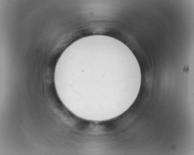 X0000113090311200909182121