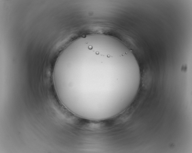 X0000113090314200909182121