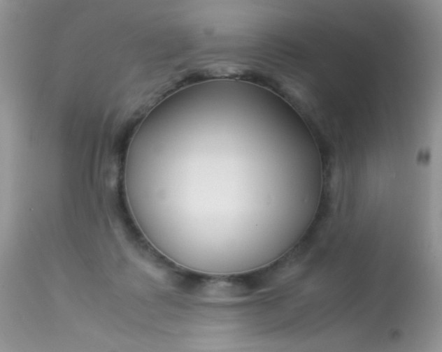 X0000113090315200909182121