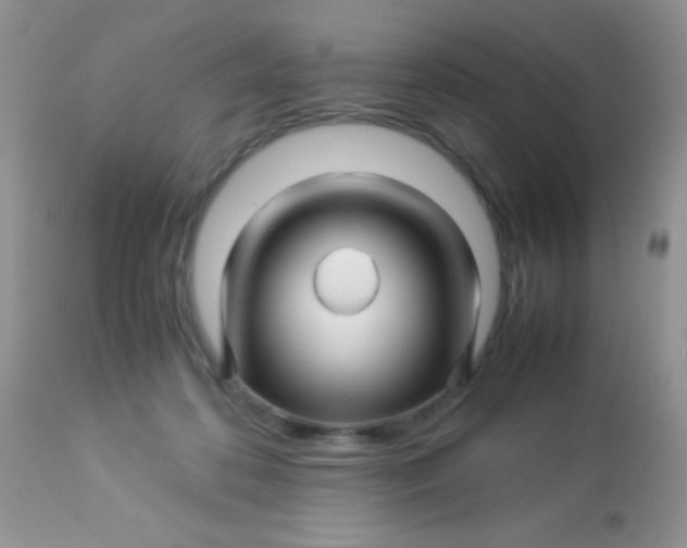 X0000113090316200909182121