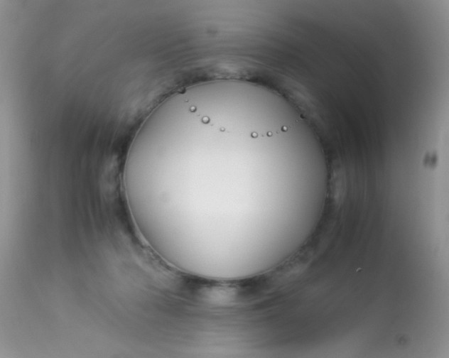 X0000113090318200909182121