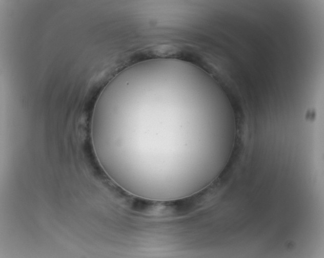 X0000113090319200909182121