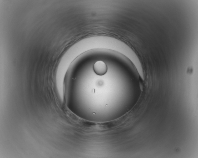 X0000113090320200909182121