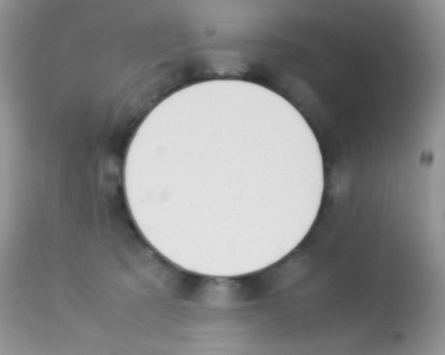 X0000113090321200909182121