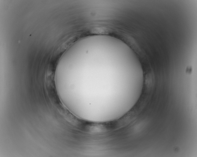 X0000113090322200909182120