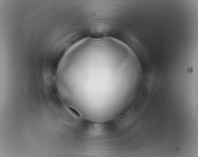 X0000113090324200909182120