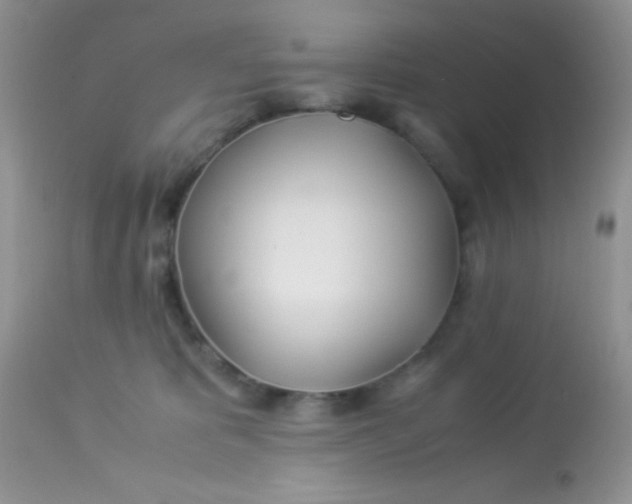 X0000113090325200909182120