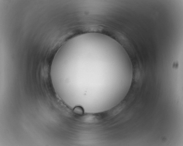 X0000113090326200909182120