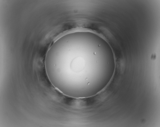 X0000113090327200909182120