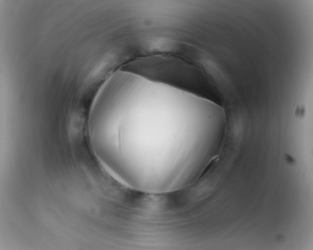 X0000113090328200909182120