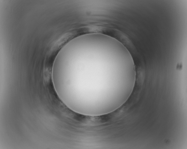 X0000113090329200909182120