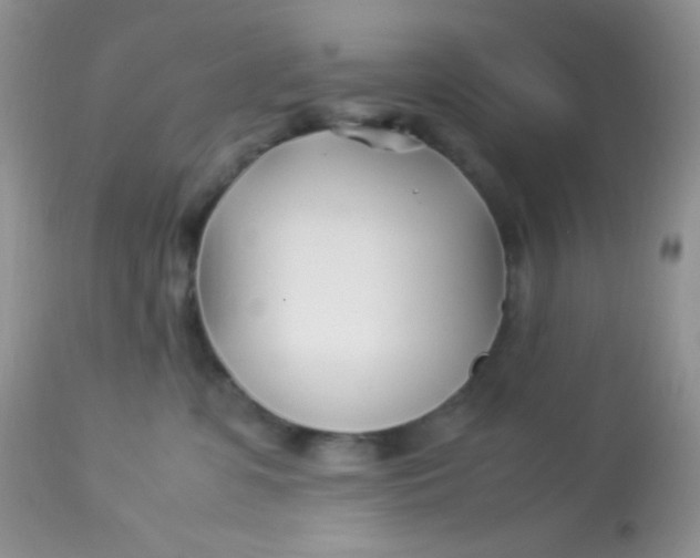 X0000113090331200909182120