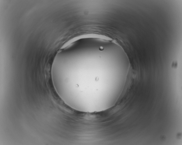 X0000113090332200909182120