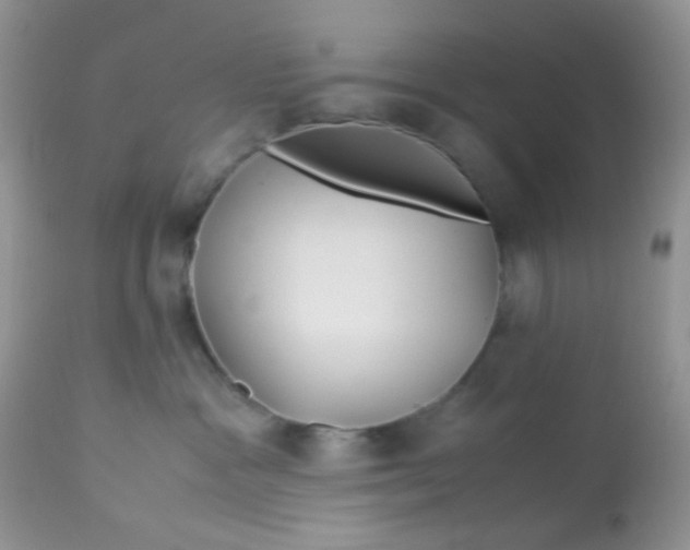 X0000113090333200909182120