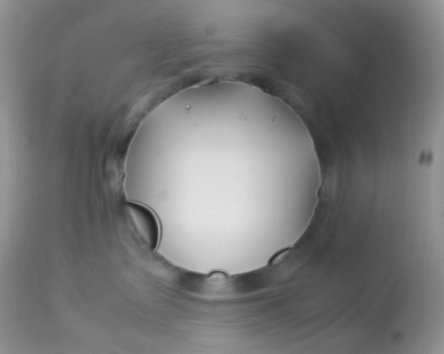 X0000113090335200909182120