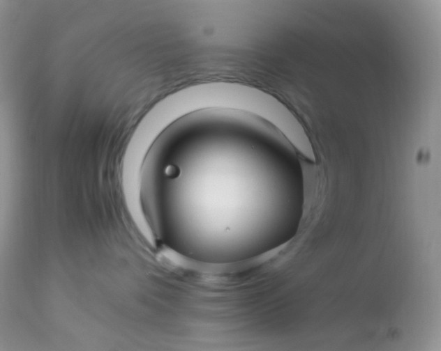 X0000113090336200909182120