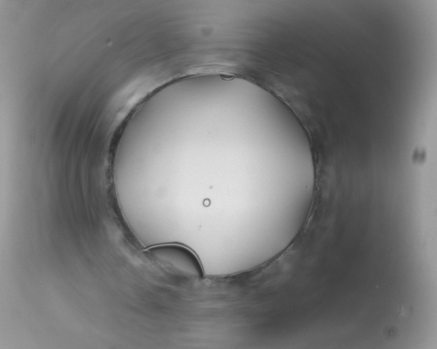 X0000113090338200909182120