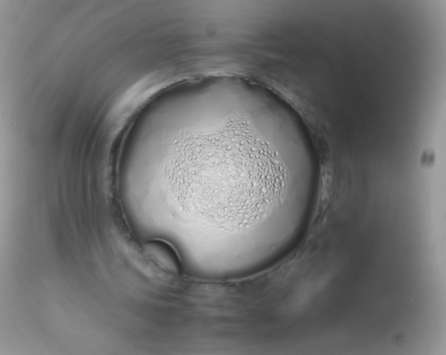 X0000113090339200909182120