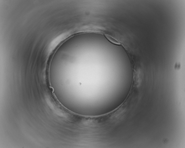 X0000113090340200909182120