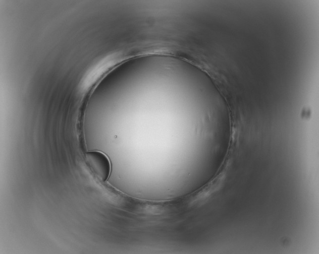 X0000113090341200909182120