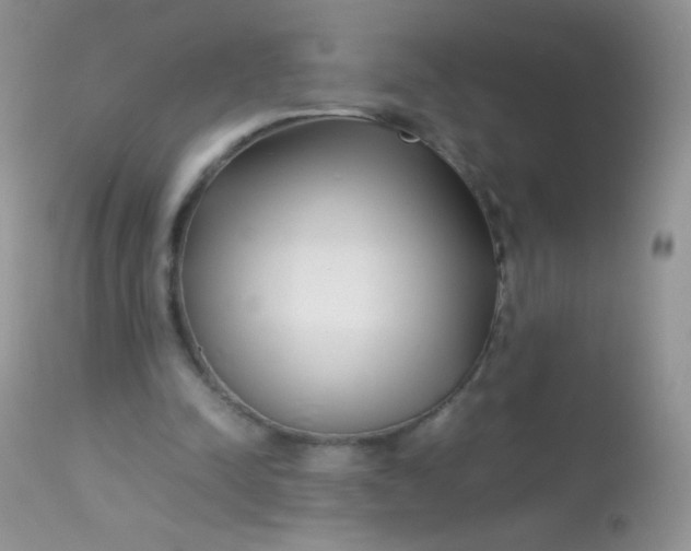 X0000113090342200909182120