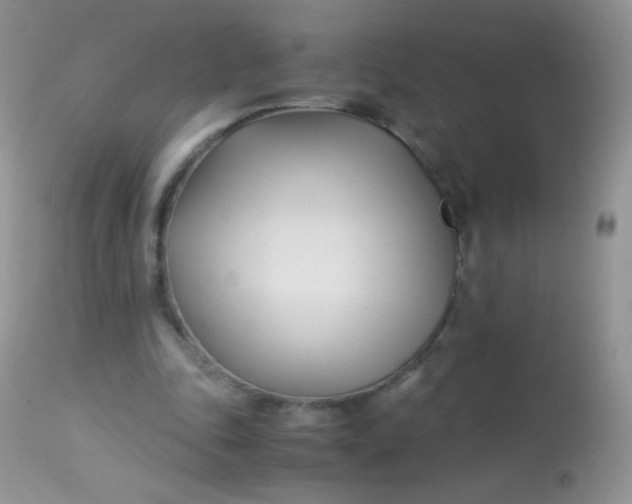 X0000113090343200909182120