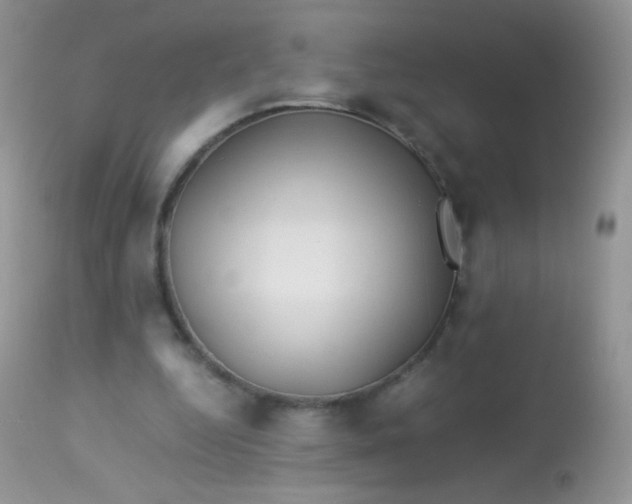 X0000113090344200909182120