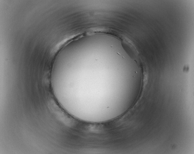 X0000113090345200909182120