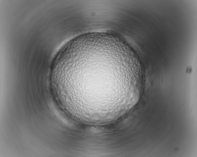 X0000113090346200909182120