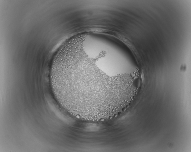 X0000113090347200909182120