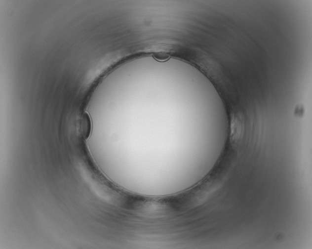 X0000113090348200909182120