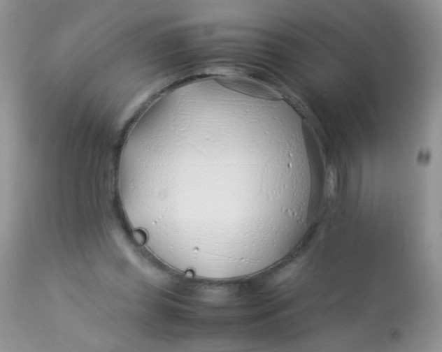 X0000113090349200909182120