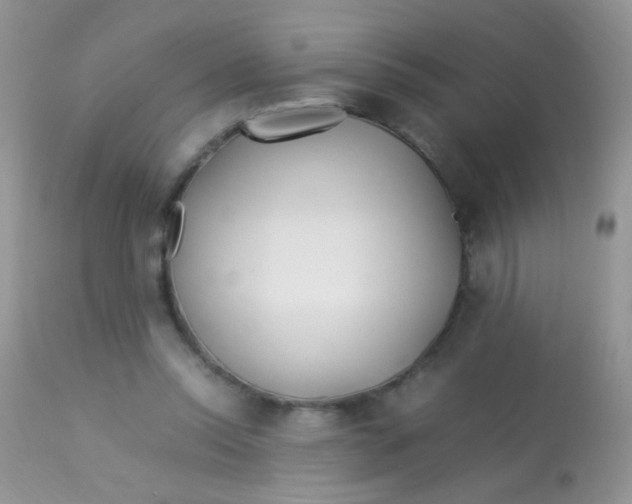 X0000113090350200909182120