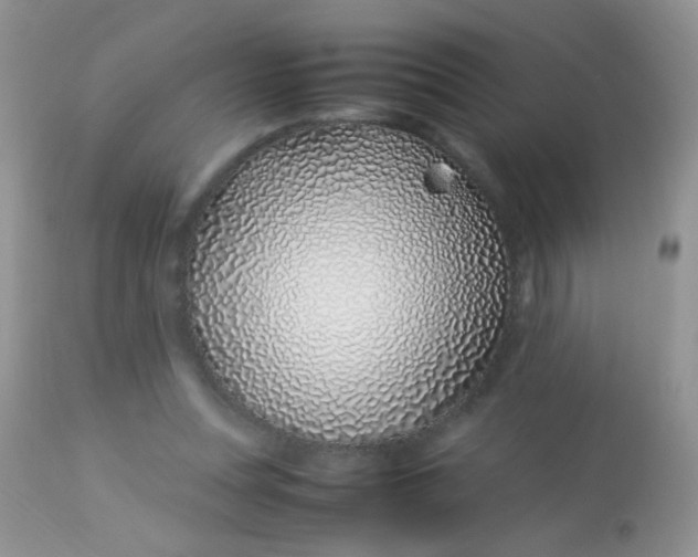 X0000113090351200909182120