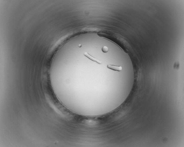 X0000113090352200909182120