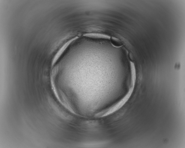 X0000113090353200909182120