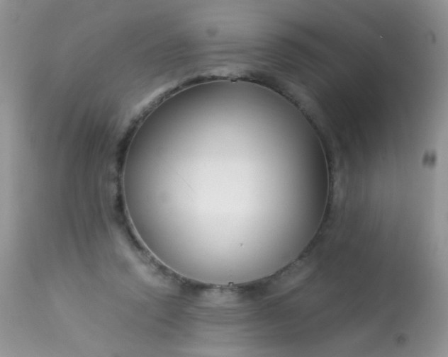 X0000113090354200909182120