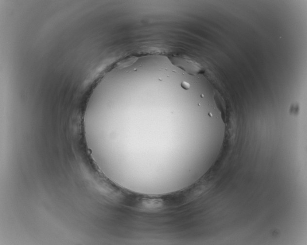 X0000113090355200909182120